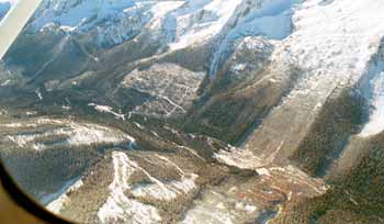 Extensive logging in the Upper Jumbo Creek Valley