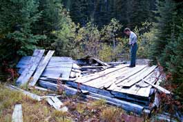 Forestry remains in Jumbo Creek Valley