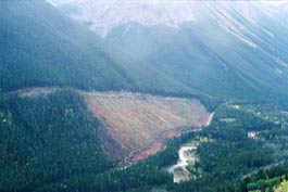 Logging in Jumbo Creek Valley