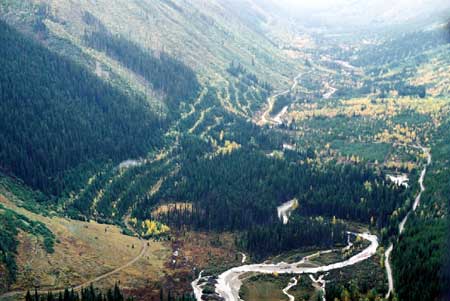 logging in Jumbo Creek - alternative forestry roads