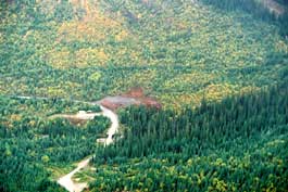 Logging in the Jumbo Creek Valley