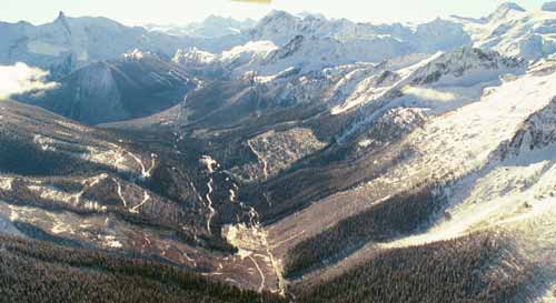 Jumbo Glacier Resort