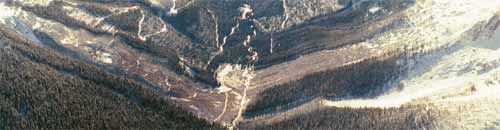 Jumbo Glacier Resort