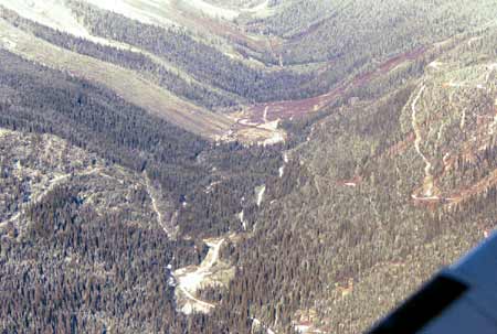 Road to the sawmill site in the Upper Jumbo Creek Valley