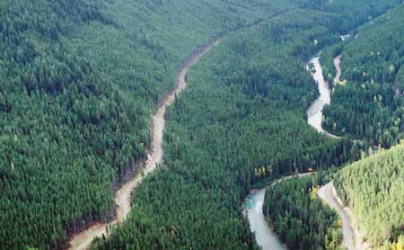 Jumbo Creek Valley