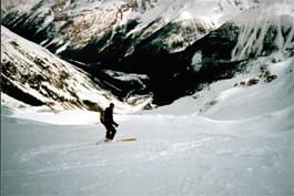 Skier scoping out the next turn...