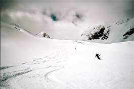 Graceful turns on the immense glacier...