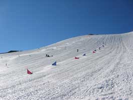 Canadian National Ski Team on Farnham Glacier